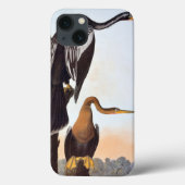 Audubon: Anhinga Case-Mate iPhone Case (Achterkant)