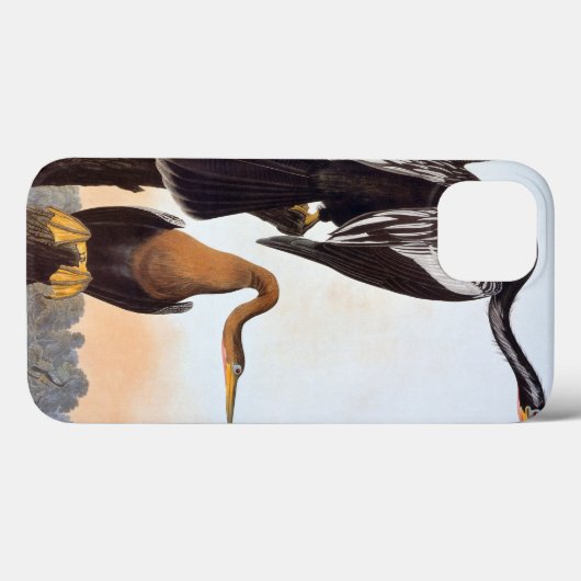 Audubon: Anhinga Case-Mate iPhone Case (Achterkant (horizontaal))