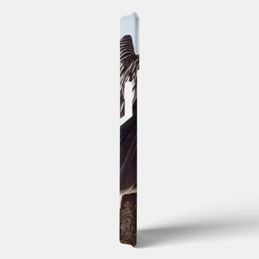 Audubon: Anhinga Case-Mate iPhone Case (Achterkant / Rechts)