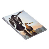 Audubon: Anhinga Notitieboek (Rechterzijde)