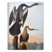 Audubon: Anhinga Notitieboek (Voorkant)