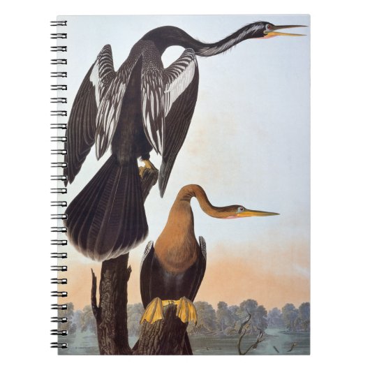 Audubon: Anhinga Notitieboek (Voorkant)