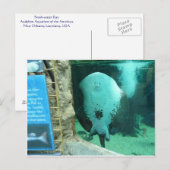 Audubon Aquarium of the Americas, New Orleans Briefkaart (Voorkant / Achterkant)