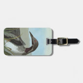 Audubon: Arctic Loon Bagagelabel (Voorkant horizontaal)