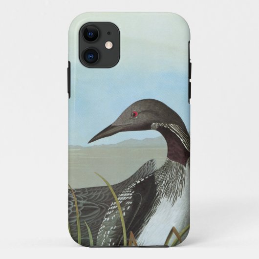 Audubon: Arctic Loon Case-Mate iPhone Case (Achterkant)