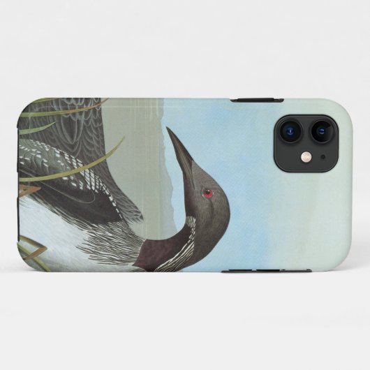 Audubon: Arctic Loon Case-Mate iPhone Case (Achterkant (horizontaal))