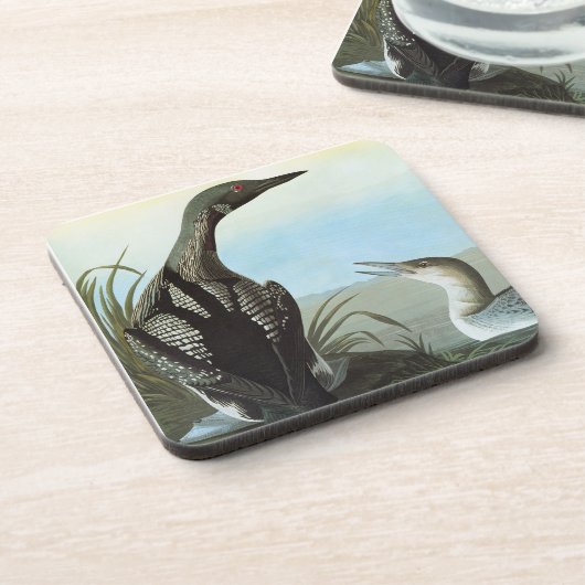 Audubon: Arctic Loon Drankjes Onderzetter (Linkerzijde)