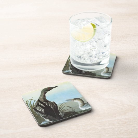 Audubon: Arctic Loon Drankjes Onderzetter (Rechterzijde)