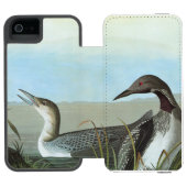 Audubon: Arctic Loon Incipio iPhone Portemonnee Hoesje (Agenda Open)