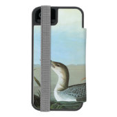 Audubon: Arctic Loon Incipio iPhone Portemonnee Hoesje (Agenda Achterkant)