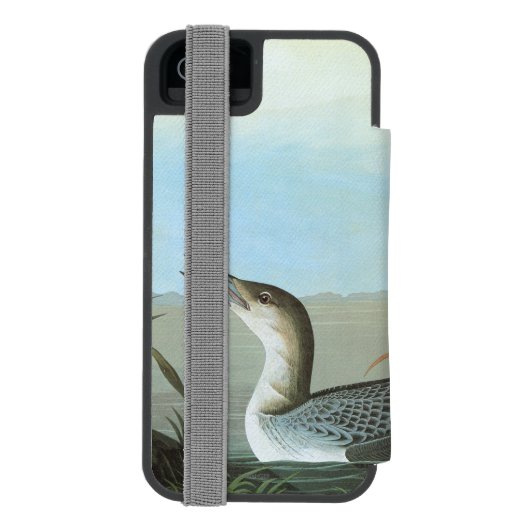 Audubon: Arctic Loon Incipio iPhone Portemonnee Hoesje (Agenda Achterkant)