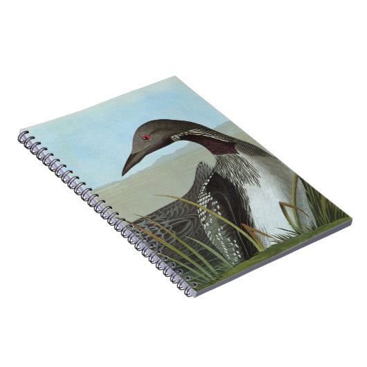 Audubon: Arctic Loon Notitieboek (Rechterzijde)