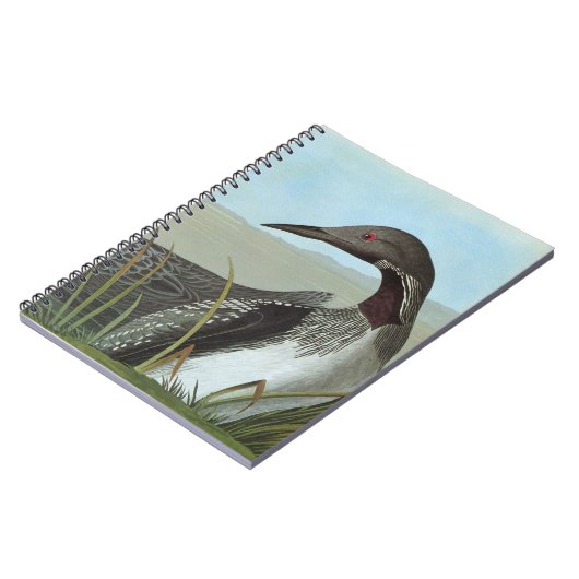 Audubon: Arctic Loon Notitieboek (Linkerzijde)