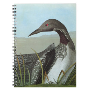 Audubon: Arctic Loon Notitieboek