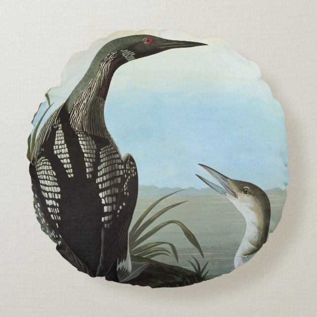 Audubon: Arctic Loon Rond Kussen (Voorkant)