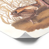 Audubon Art Wild Turkey Hen and Chicken Poster (Hoek)