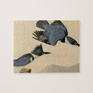 Audubon Bandkoning Visser Vintage Vogel Natuur Legpuzzel