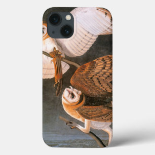 Audubon: Barn Case-Mate iPhone Case