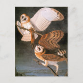 Audubon: Barn Owl Briefkaart (Voorkant)