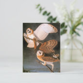 Audubon: Barn Owl Briefkaart (Staand voorkant)