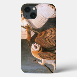 Audubon: Barn Owl iPhone 13 Hoesje