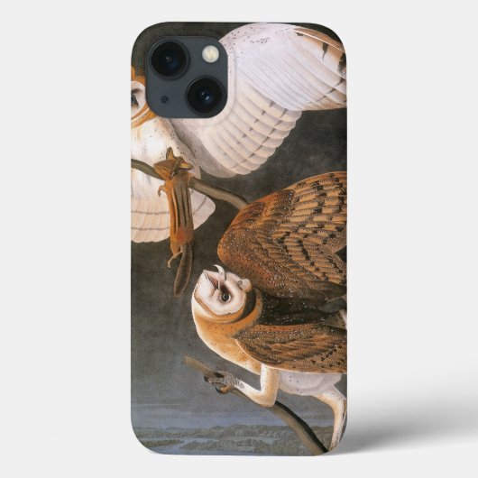 Audubon: Barn Owl Case-Mate iPhone Case (Achterkant)