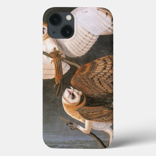 Audubon: Barn Owl Case-Mate iPhone Case (Achterkant)