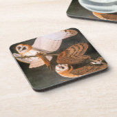 Audubon: Barn Owl Drankjes Onderzetter (Linkerzijde)