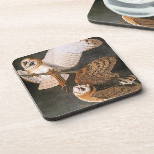 Audubon: Barn Owl Drankjes Onderzetter (Linkerzijde)