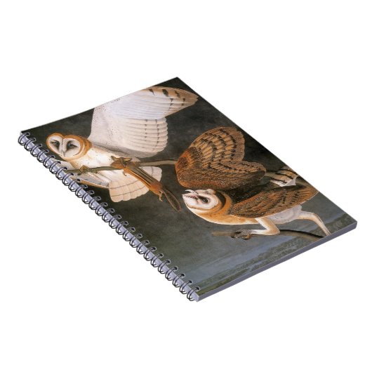 Audubon: Barn Owl Notitieboek (Rechterzijde)