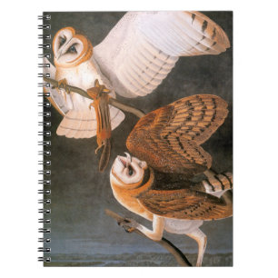 Audubon: Barn Owl Notitieboek