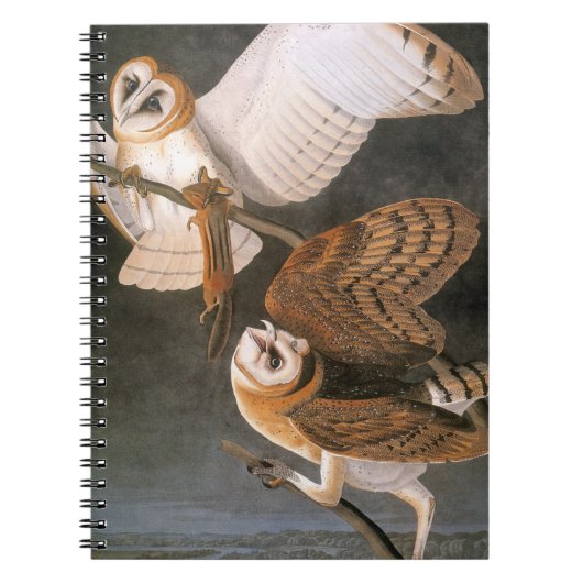 Audubon: Barn Owl Notitieboek (Voorkant)