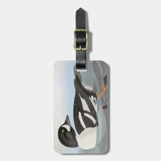 Audubon: Barrow's Goldeneye Bagagelabel (Voorkant verticaal)