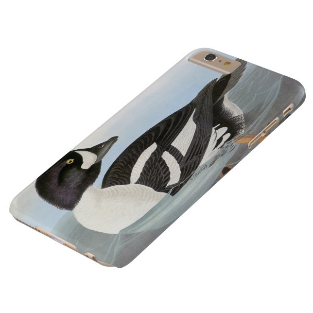 Audubon: Barrow's Goldeneye Case-Mate iPhone Case (Bovenkant)