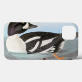 Audubon: Barrow's Goldeneye Case-Mate iPhone Case (Achterkant (horizontaal))