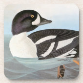 Audubon: Barrow's Goldeneye Drankjes Onderzetter (Voorkant)