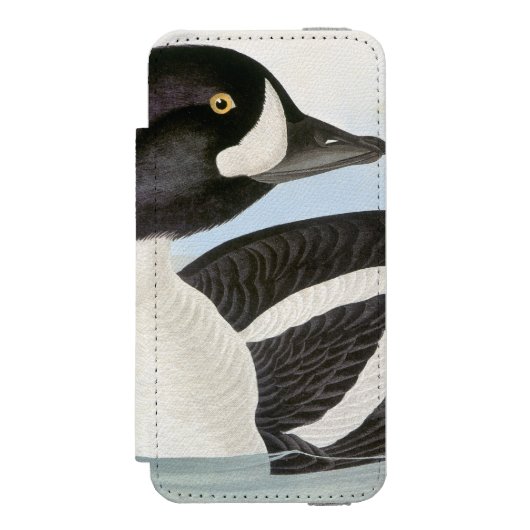 Audubon: Barrow's Goldeneye Incipio iPhone Portemonnee Hoesje (Voorkant Agenda)