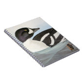 Audubon: Barrow's Goldeneye Notitieboek (Rechterzijde)