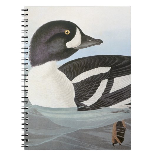 Audubon: Barrow's Goldeneye Notitieboek (Voorkant)