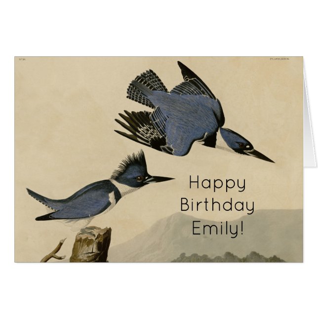 Audubon Belted Kingfisher Wildlife Bird (Voorkant Horizontaal)