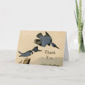Audubon Belted Kingfisher Wildlife Bird Bedankkaart (Voorkant)