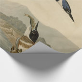 Audubon Belted Kingfisher Wildlife Bird Cadeaupapier (Hoek)