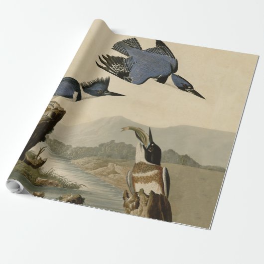 Audubon Belted Kingfisher Wildlife Bird Cadeaupapier (Uitgerold)