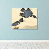 Audubon Belted Kingfisher Wildlife Bird Canvas Afdruk (Insitu (Houten vloer))