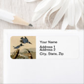 Audubon Belted Kingfisher Wildlife Bird Etiket (Insitu)