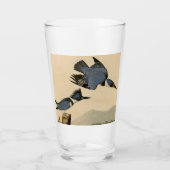 Audubon Belted Kingfisher Wildlife Bird Glas (Voorkant)