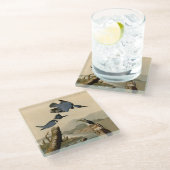 Audubon Belted Kingfisher Wildlife Bird Glazen Onderzetter (Schuin)