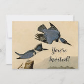 Audubon Belted Kingfisher Wildlife Bird Kaart (Voorkant)