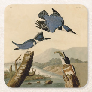 Audubon Belted Kingfisher Wildlife Bird Kartonnen Onderzetters