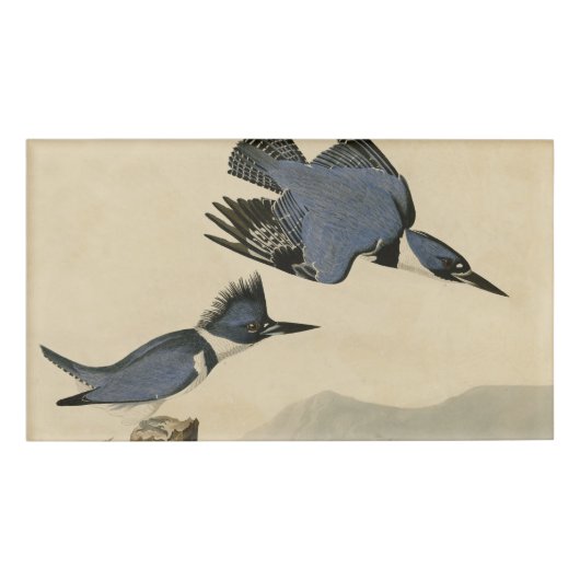 Audubon Belted Kingfisher Wildlife Bird Naambadge (Voorkant)